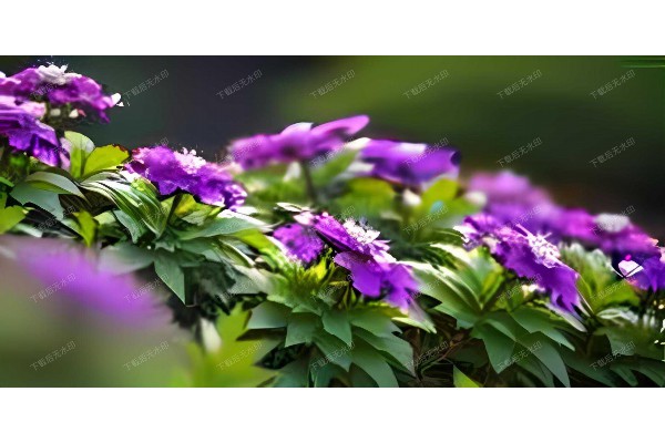 沌口洗浴中心，养生休闲两不误